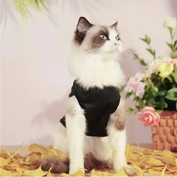 Teddy Bear Black Tank Top for Small Pet Cat Dog - Picture 4 of 6